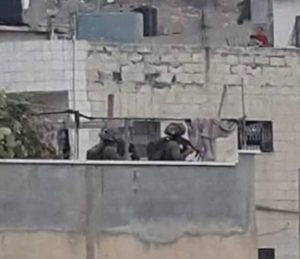 Fawwar rooftpp soldiers hebron