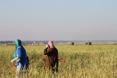 Gaza Farmers (image from ISM)