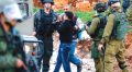 Child abducted by Israeli troops (PCHR photo)