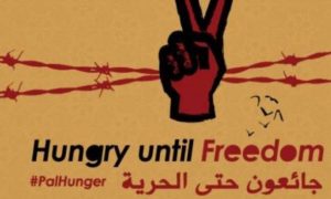 Detainees’ Committee: “50 Detainees Ongoing With Hunger Strike”