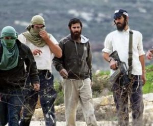 Colonizers Assault a Palestinian, Cut Grape Vines, Near Bethlehem