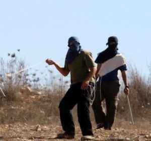 Colonizers Attack Palestinians, Army Abducts Three, Near Hebron