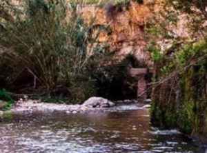 The Jordan Valley Springs: Between the Rock of the Occupation and the Hard Place of Settlers