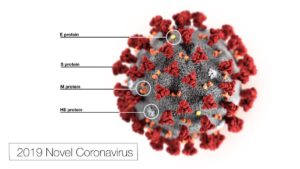 Palestinian Health Ministry Confirms 7 Cases of COVID19 Corona Virus