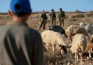 Israeli Soldiers Detain Five Palestinian Shepherds In Northern Plains