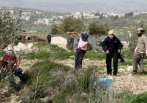 Israeli Colonizers Damage Palestinian Cars Near Jenin