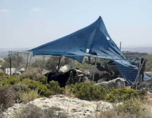 Israeli Colonizers Install Tents On Palestinian Lands Near Salfit