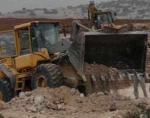 Israeli Soldiers, Colonizers, Cut Hundreds Of Trees In Salfit