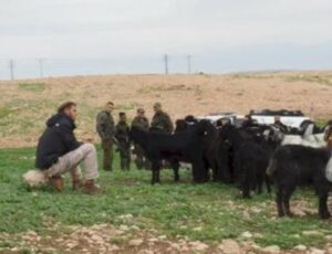 Israeli Colonizers Attack Shepherds Near Jericho