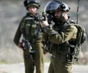 Israeli Army Shoots Four Palestinians in Qalqilia