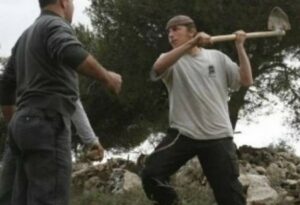 Israeli Colonizers Injure Three Palestinians Near Hebron