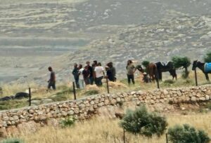 Israeli Colonizers Attack Palestinians, Their Lands, In West Bank