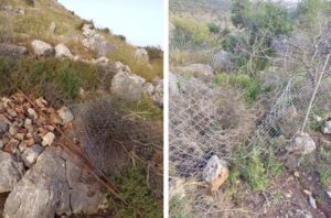 Israeli Colonizers Uproot Trees, Attack Village, In Salfit And Jericho
