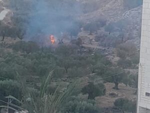 Israeli Colonizers Burn Agricultural Lands Near Ramallah