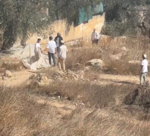 Colonizers Attack Family, Burn Car, Steal Olive Harvest In Jenin And Salfit