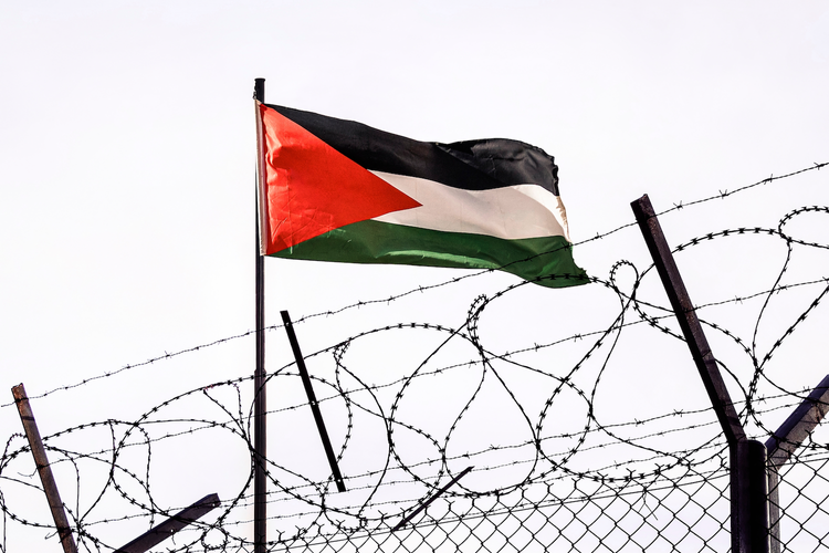 Palestinian rights group rejects Trump's 15-point peace plan